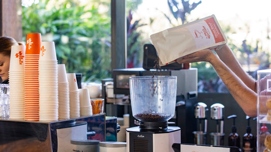 The Art of the Perfect Grind: How to Dial In Your Coffee Grinder